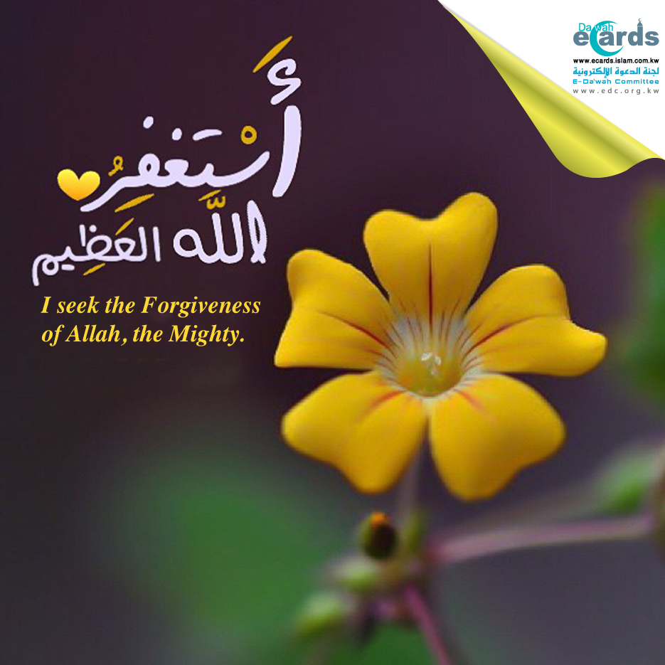 flower - Forgiveness of Allah